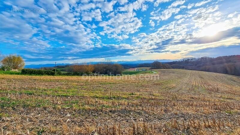 Terrain à SAUVETERRE-DE-BEARN