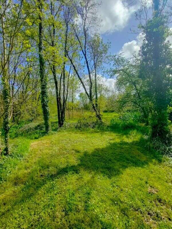 Terrain à SAINT-LAURENT-DE-LA-PREE