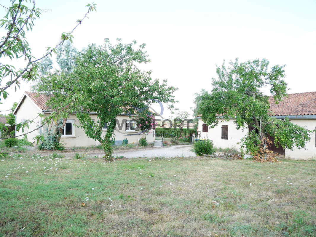 Maison individuelle 3 chambres avec dépendance - photo 2