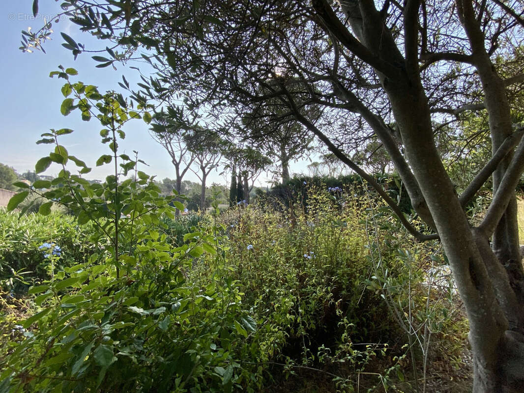 Maison à SAINT-RAPHAEL