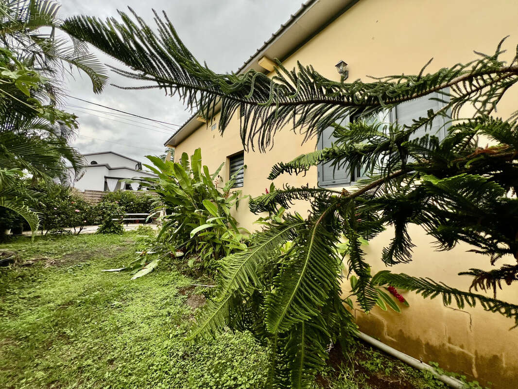 Maison à SAINT-JOSEPH