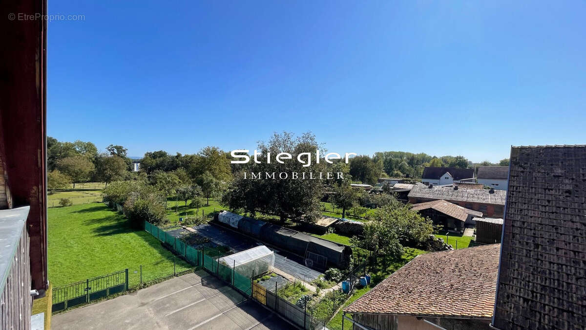 Appartement à HERBSHEIM