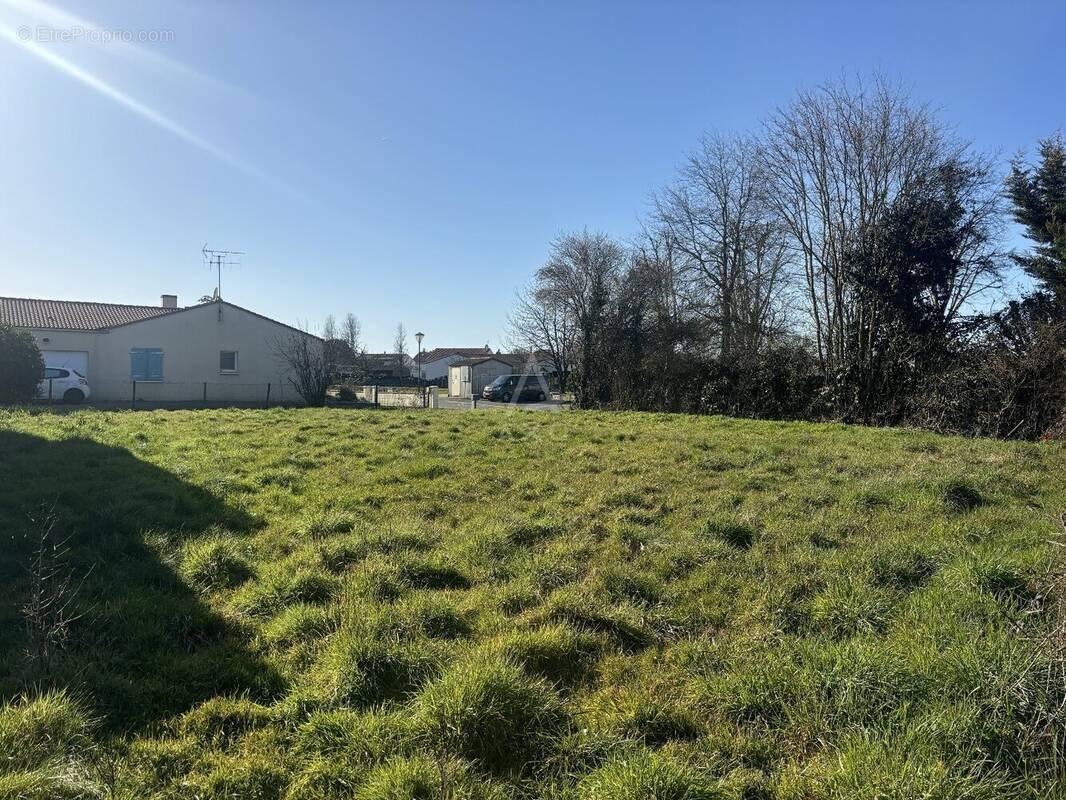 Terrain à SAINTE-FLORENCE