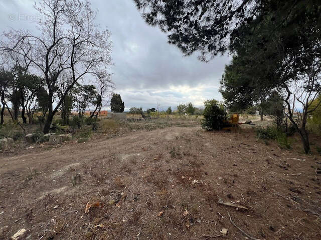 Terrain à AZILLE