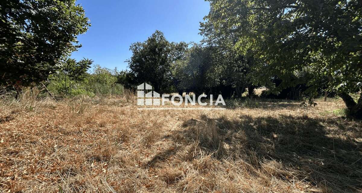 Terrain constructible de 800 m2 - photo 3