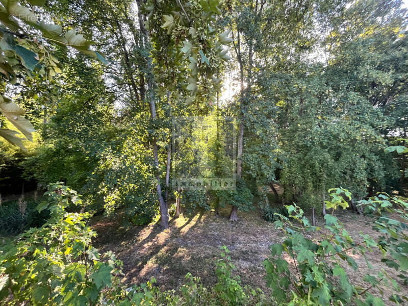 Batiment à fort potentiel - photo 8