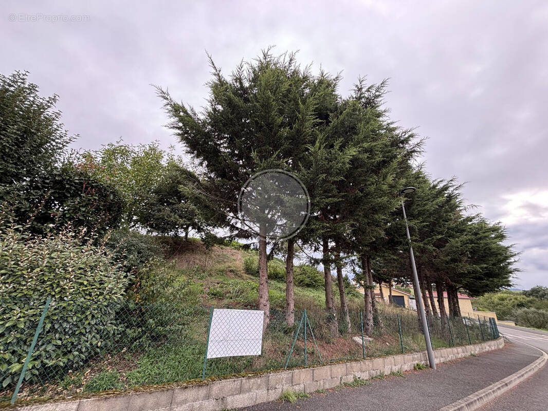 Terrain à SAINT-LAURENT-DE-CHAMOUSSET