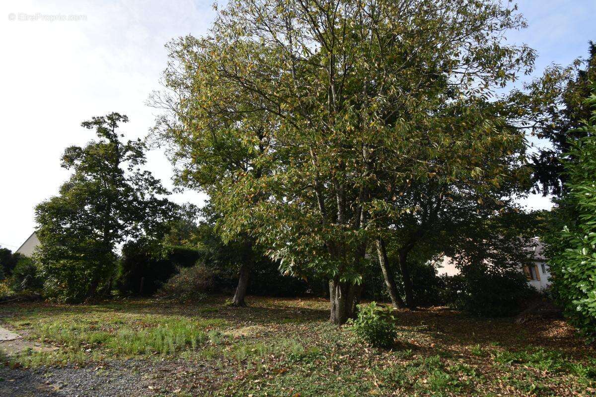 Maison à SAINT-SATUR