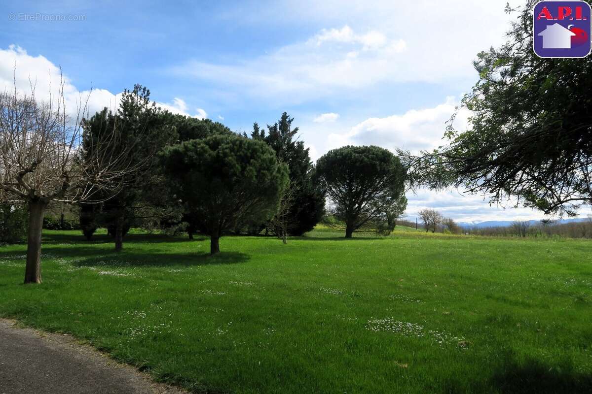 Maison 224 m² à Mirepoix  - photo 12