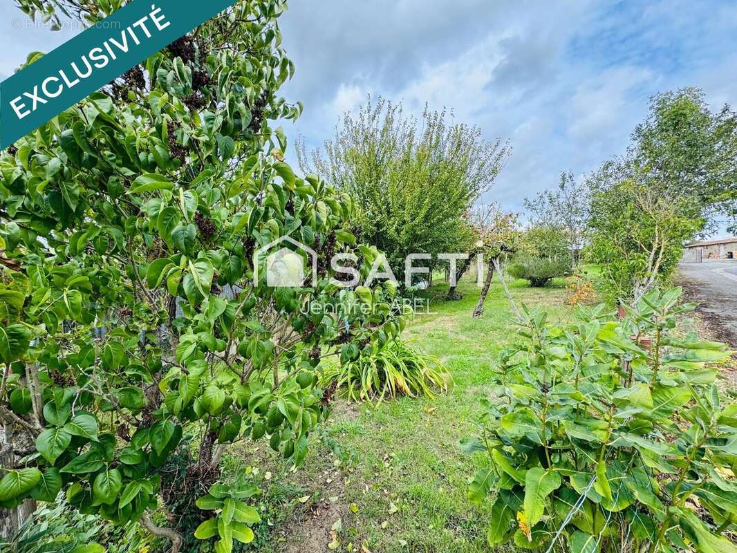 Photo 3 - Maison à AMAILLOUX