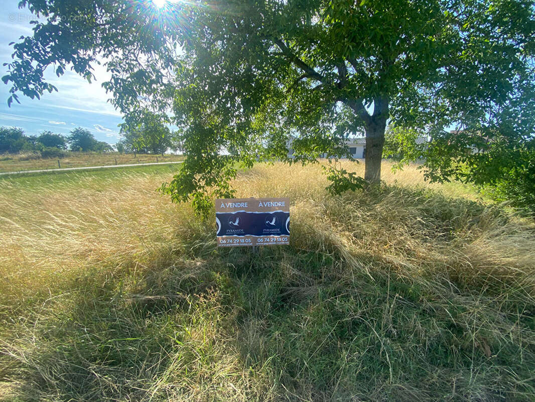Terrain Vitrimont - photo 2