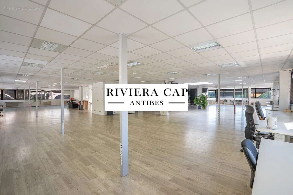 Commerce 1331 m² à Valbonne  - photo 9