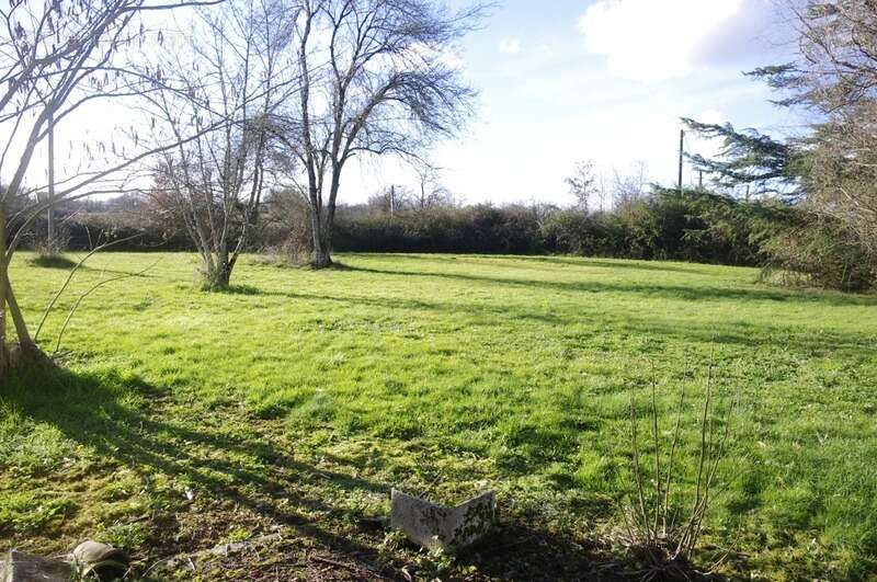 Propriété  6 pièces + dépendances sur 19 HA de terrain à vendre LAGRAULET DU GERS - photo 4