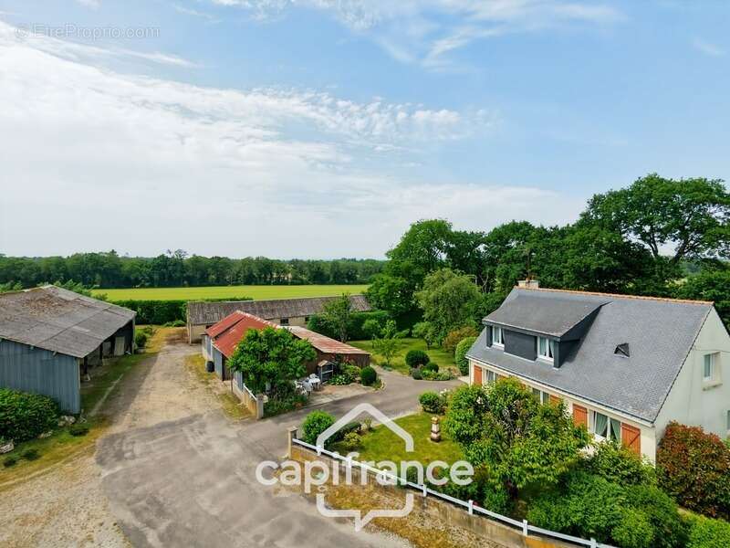 Propriété avec maison, hangar de 360 m², nombreuses dépendances et 6 280 m² de terrain – environnement naturel à kerfourn, à pro - photo 3