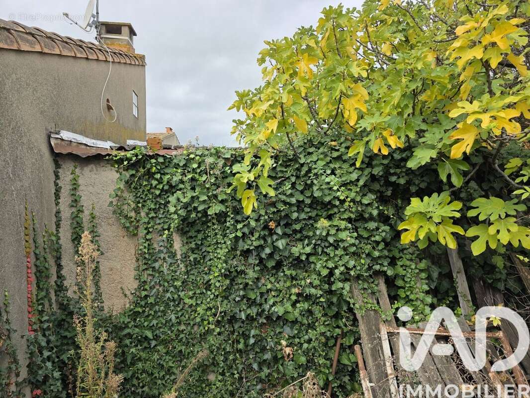 Photo 2 - Terrain à VILLENEUVE-MINERVOIS