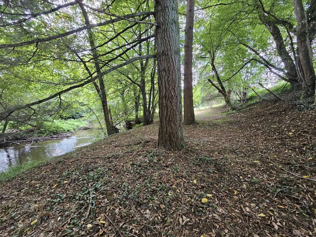 Maison à ROUMAZIERES-LOUBERT