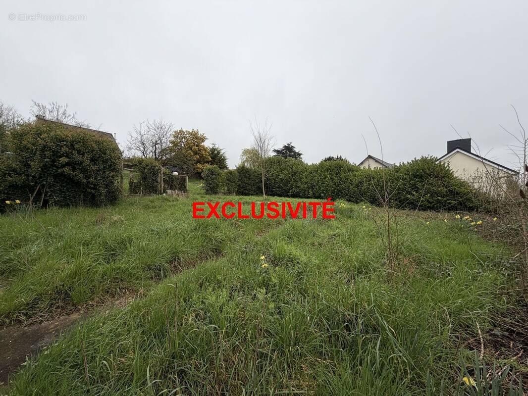 Terrain à MONTREUIL-LE-GAST