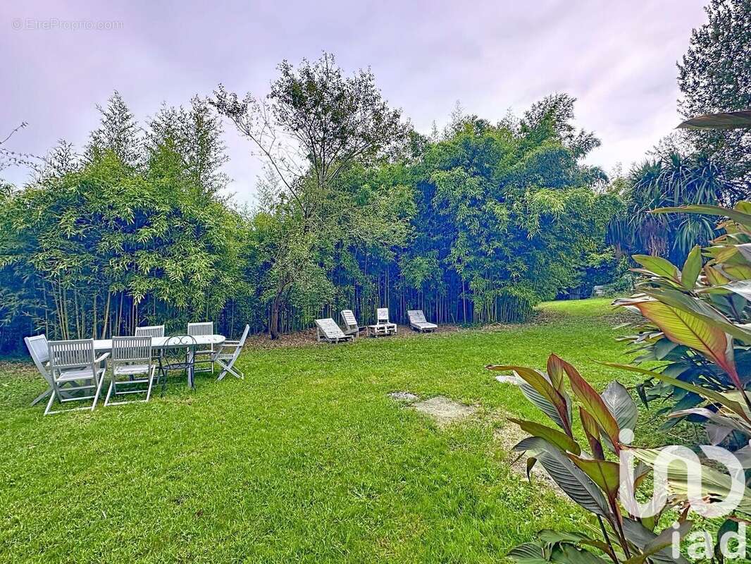 Photo 3 - Maison à ORTHEZ