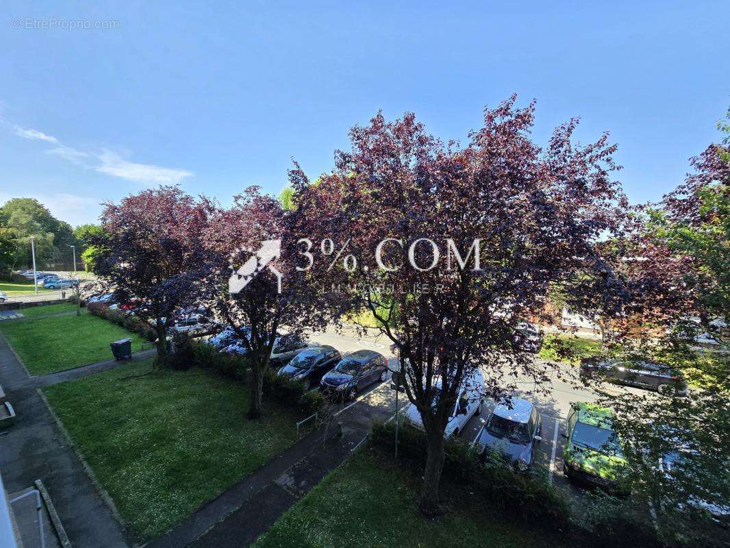 Appartement t3 de 59 m2 brun pain - photo 11