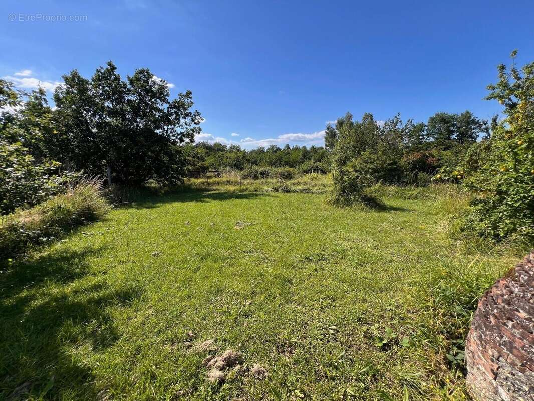 Terrain 1229 m² à Montauban  - photo 4