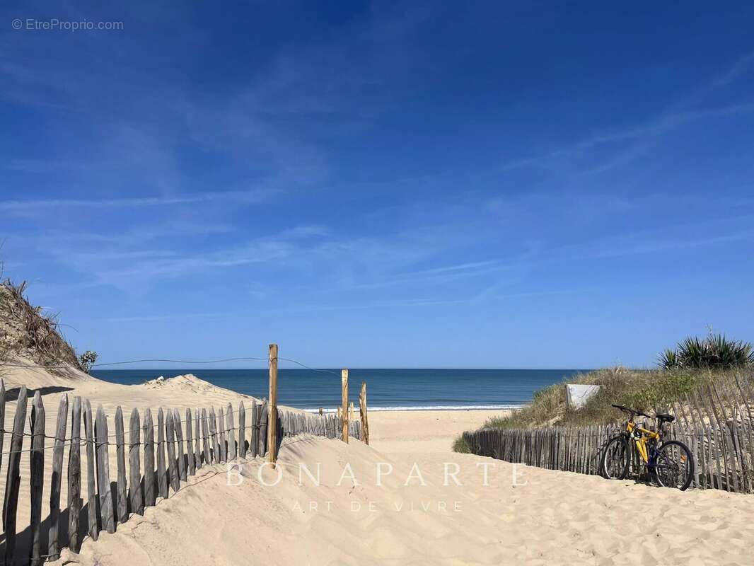 Vensac - propriete de 4,5 hectares à 5 minutes des plages océanes - photo 10