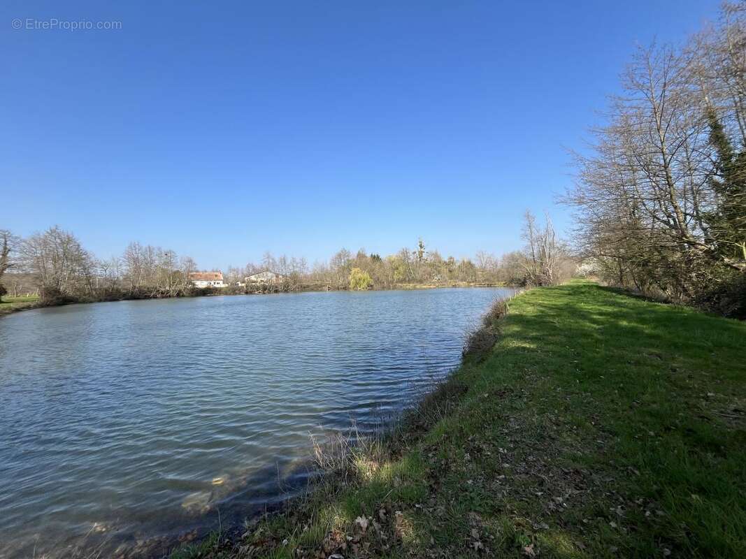 Terrain 18000 m² à Connerre  - photo 5