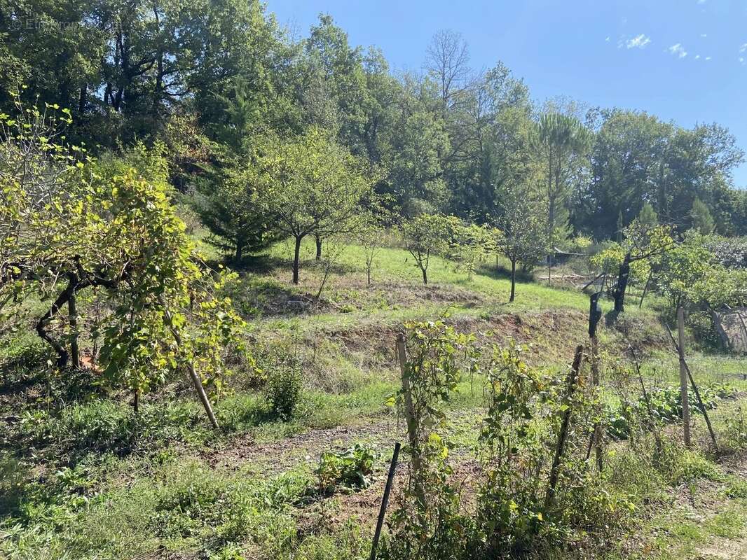 Terrain à PUYGOUZON