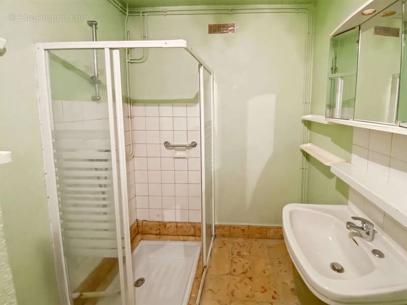 Dpt Gers (32), à vendre Proche de RISCLE château T6 de 327 m² habitables + 580 m² de dépendances attenantes sur 8157 m² de terra - photo 49