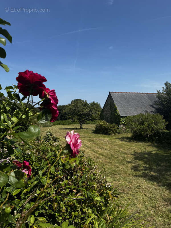 Maison à ROSCANVEL