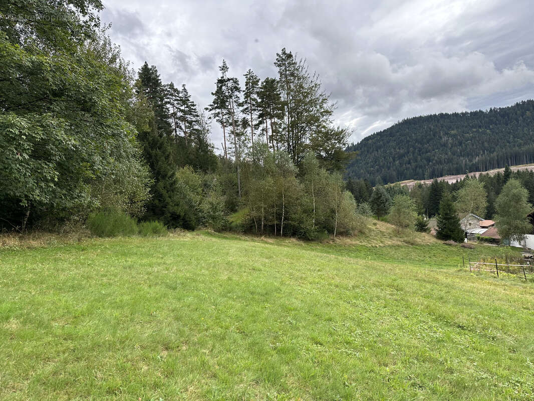 Terrain à GERARDMER