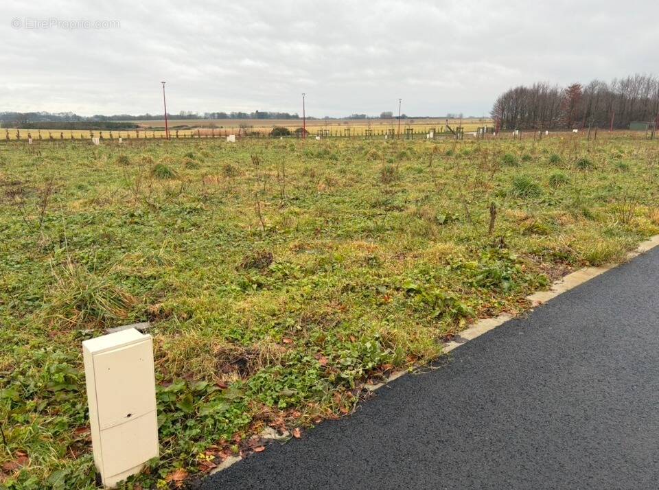 Terrain à FAUVILLE-EN-CAUX