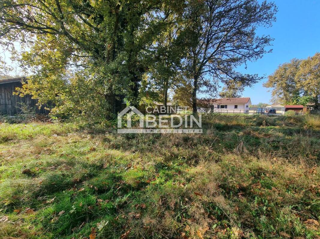 Terrain à BELIN-BELIET