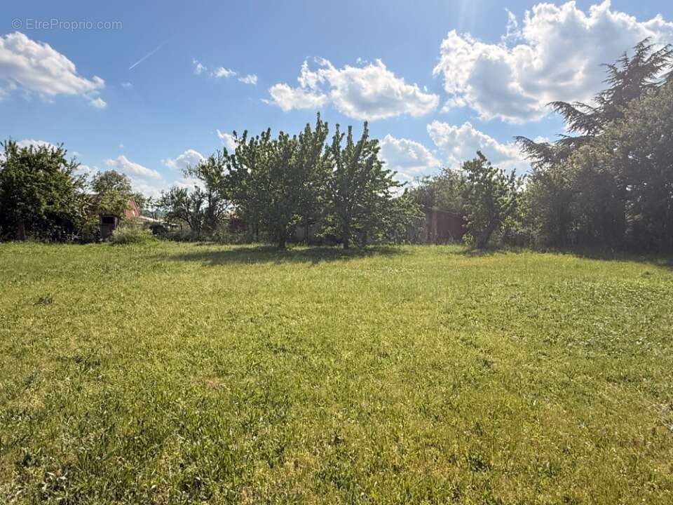 Terrain 2175 m² à Revel  - photo 3