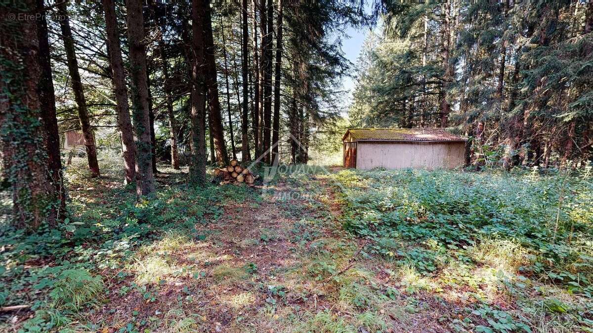 Exclusivite bungalow sur 6000m2 de terrain - photo 2