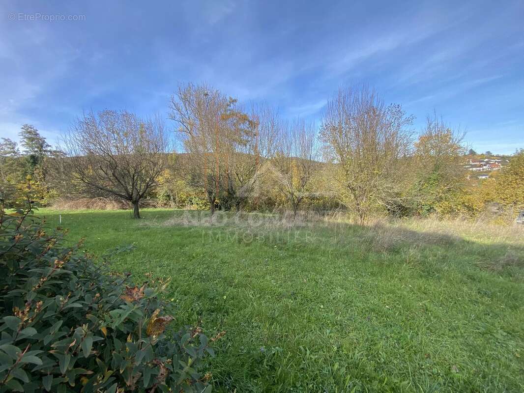 Terrain à WISSEMBOURG