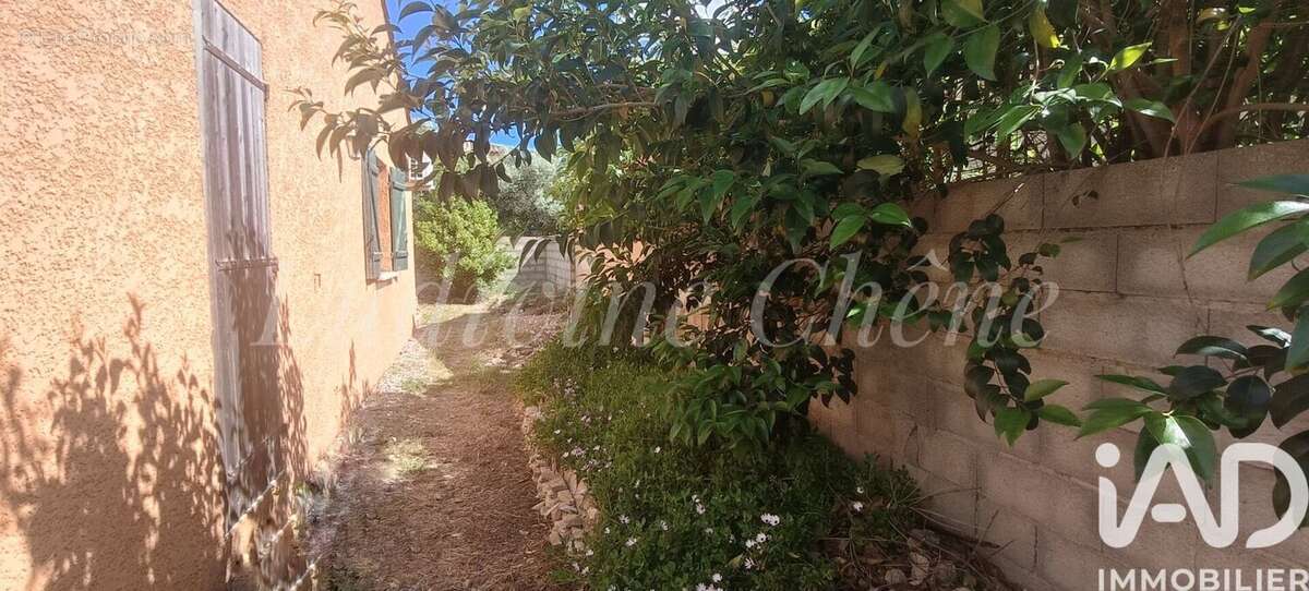 Photo 4 - Maison à FRONTIGNAN
