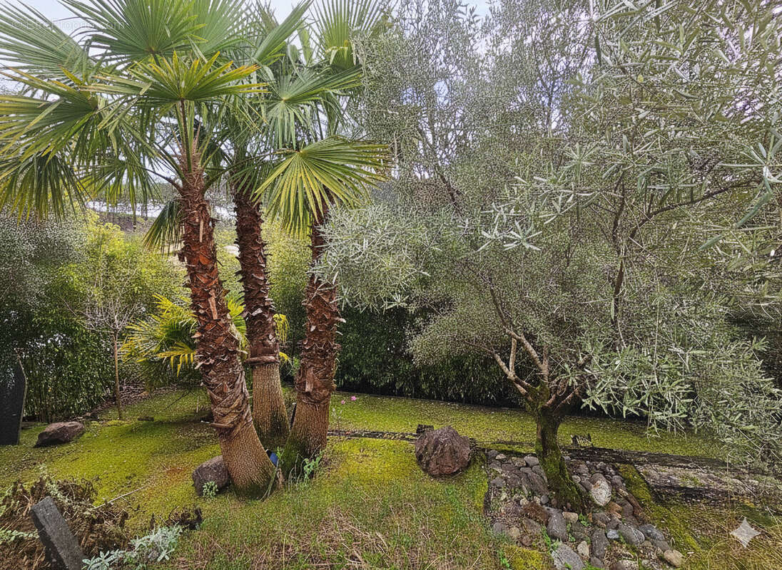 Maison à LE BOUSCAT