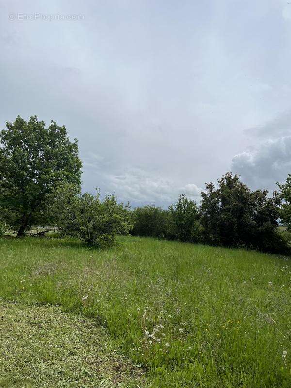 Terrain à SAINT-MARTIN-DU-BOIS