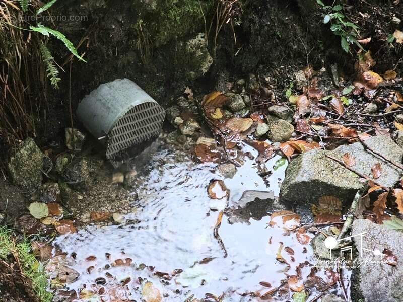 Maison à LES MARTYS