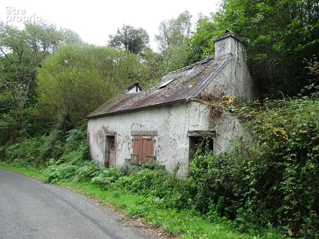 FINISTÈRE. Maison bretonne à rénover avec 8 367 m² de terrain - photo 2