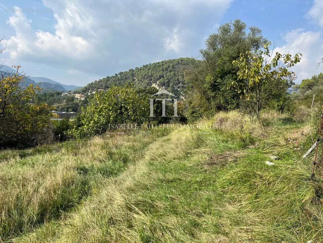 Terrain à L'ESCARENE