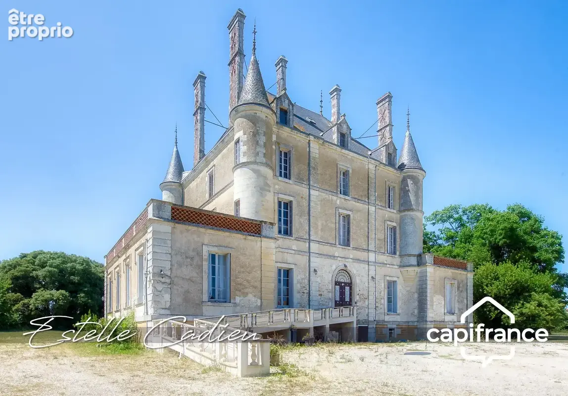 Propriété d’exception  – Château XIXe à CHANTONNAY (85) - photo 3