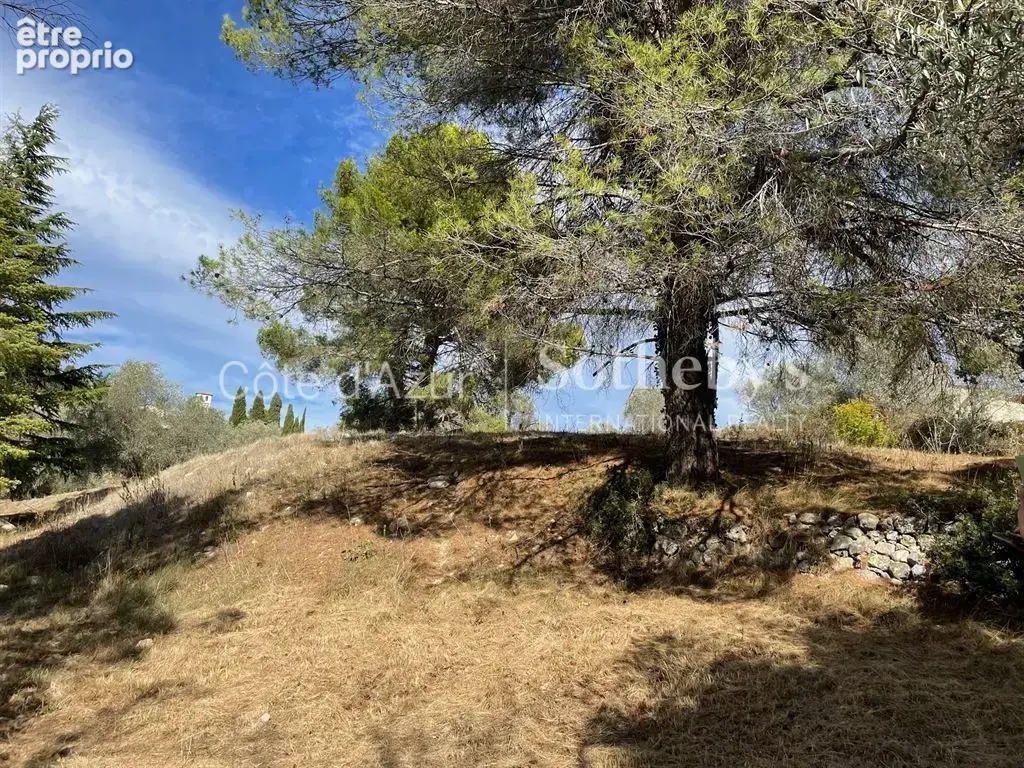 Projet de 3 villas contemporaines sur 35 233 m² - photo 15