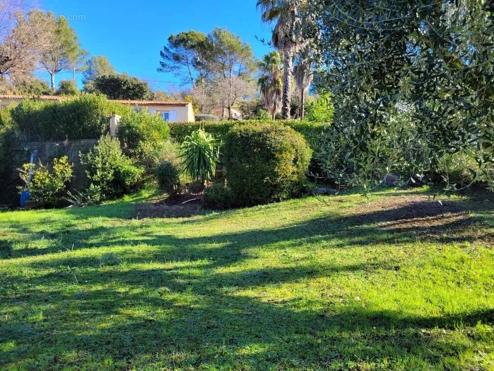 Maison à PEYMEINADE