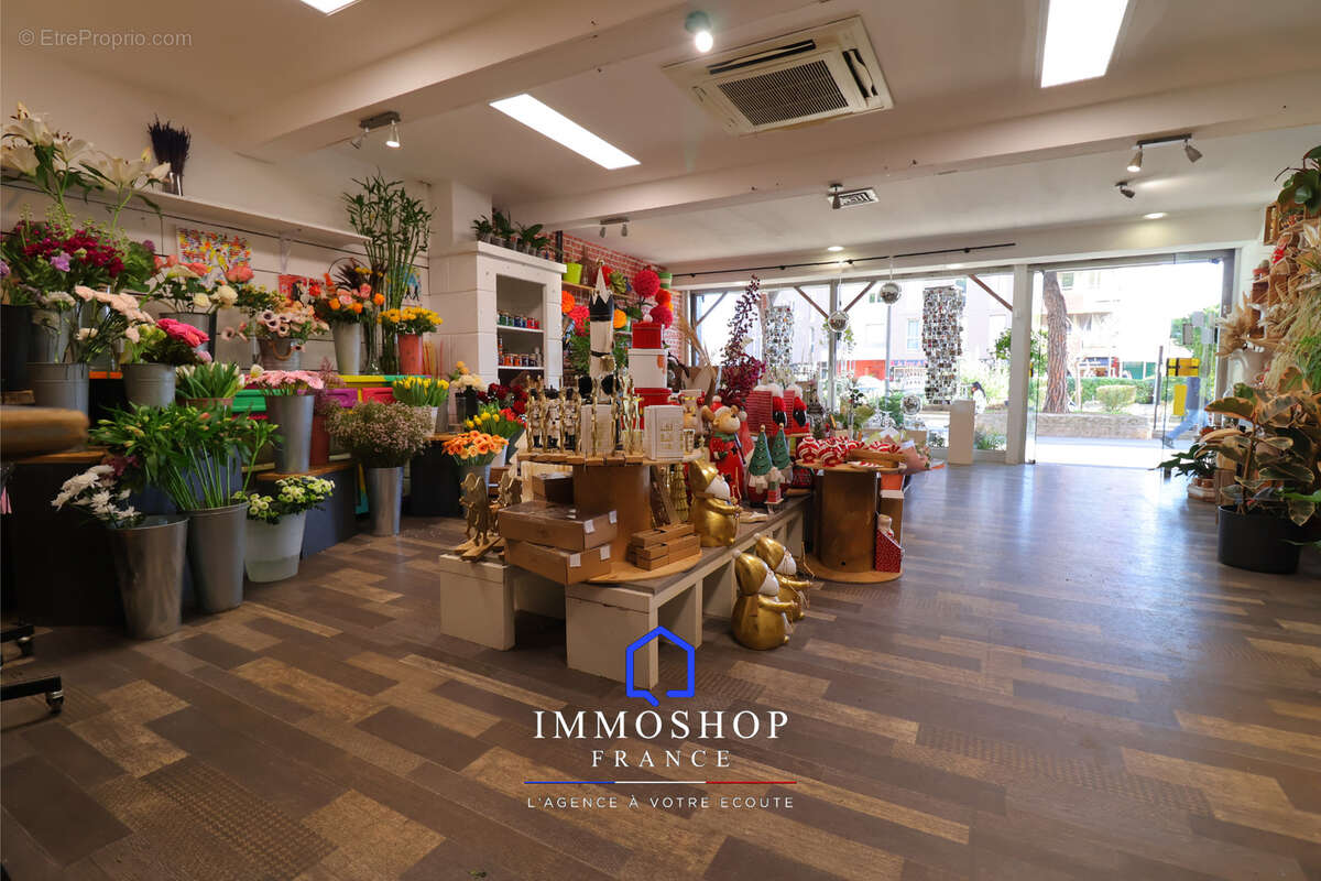 Commerce à PLAN-DE-CUQUES