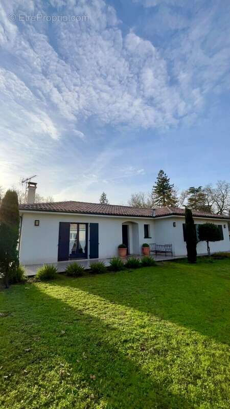 Photo 5 - Maison à SAINT-MORILLON