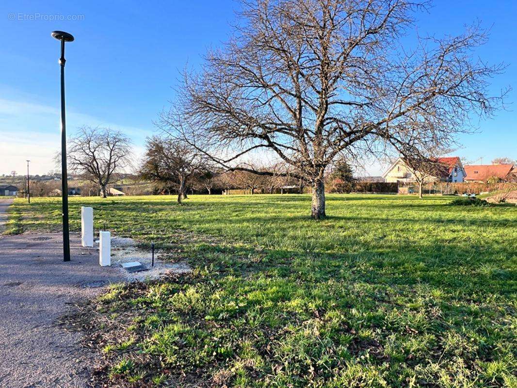 Terrain à FRETIGNEY-ET-VELLOREILLE