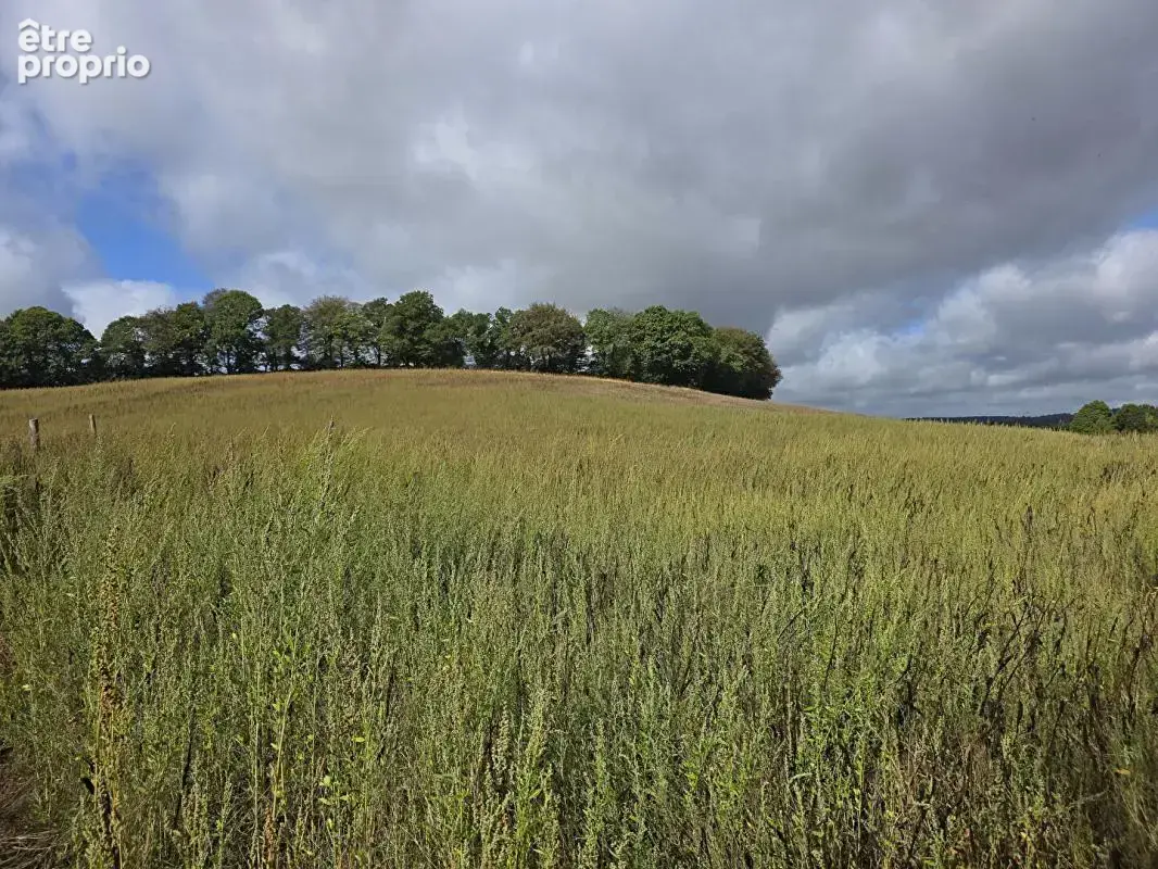 Longère en pierre de 140 m², terrasse de 54 m² et 4,56 hectares · Ploërdut - photo 17