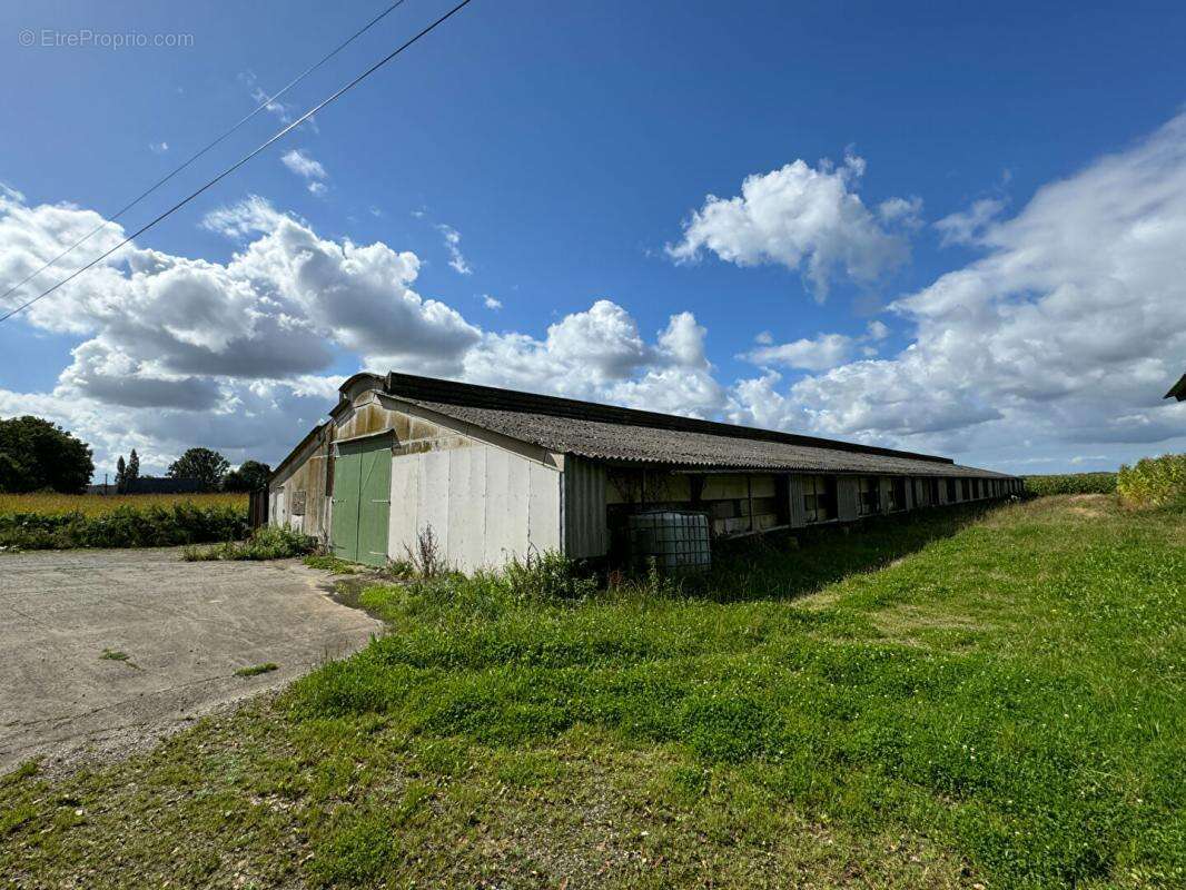 Hangar 1000 m² languidic - photo 3