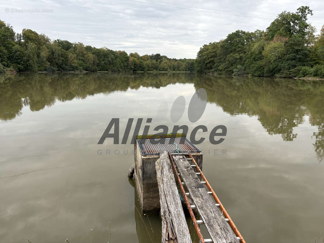 Etang  de  7  ha  50  d eau  entre  luxeuil  et  lure  avec  cabane  de  pecheur - photo 12